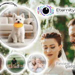 qinux eternity pearl erfahrungen
